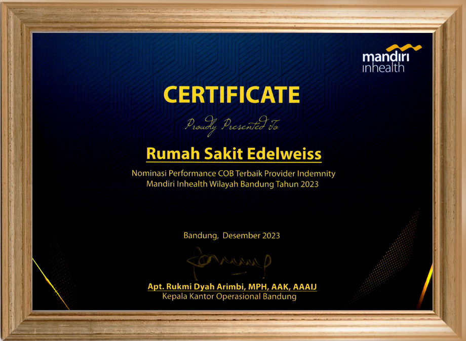 Performance COB Terbaik Provider Indemnity